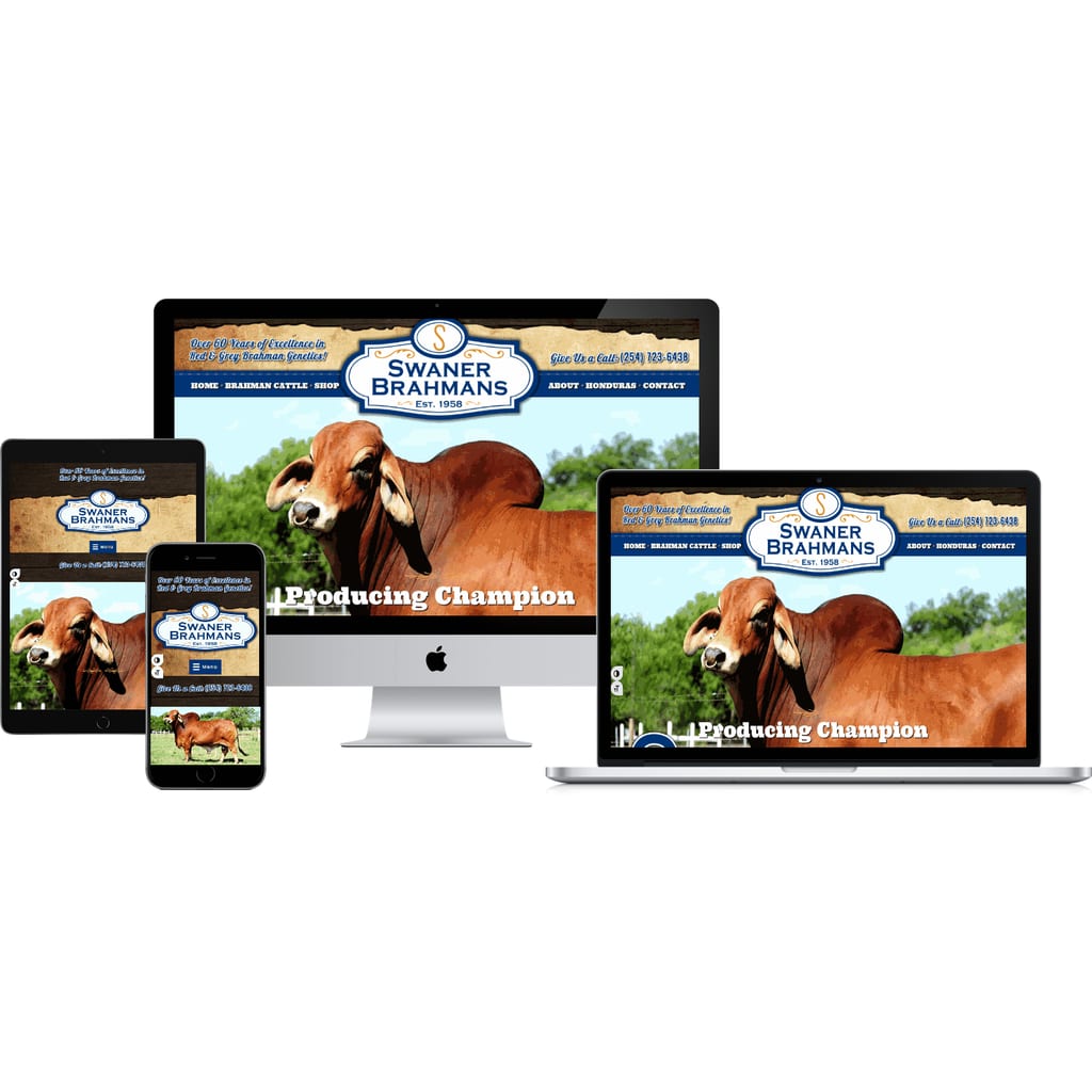 Innovative Solutions Website & Graphic Design Swaner Brahmans Cattle Ranch Web Design