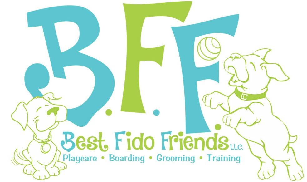 Best Fido Friends Logo Branding Design Innovative Solutions Waco